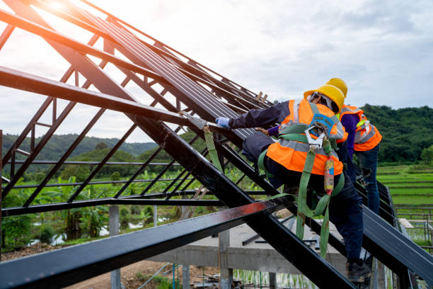 Roof Gutter Cleaning in World Golf Village, FL